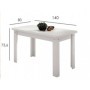Mesa de Comedor Fija Dalas