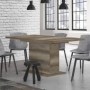 Mesa de Salón-Comedor Extensible Est