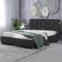 Estructura Cama King + Somier Abatible y Fondos