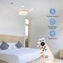 Ventilador de Techo Skywind-42