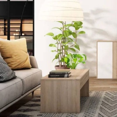 Mesa de Centro Elevable Day