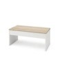Mesa de Centro Elevable Day