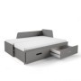 Pack Cama Dupla Infantil Mia + Colchão Doctor Back Ortopédico 200x80cm (Antracite)