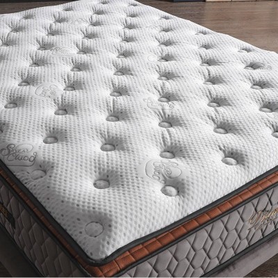 Colchón Doctor Back Diamond 24cm (c/ Entrega GRATIS)