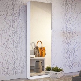 Zapatero Trend  c/ 1 Puerta de Espejo