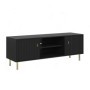 Mueble Tv 2 Puertas Piano