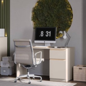 Escritorio 1 Puerta + 1 Cajone Frida