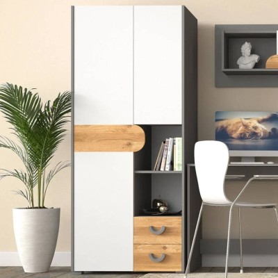 Armario 2 Puertas + 2 Cajones Carini