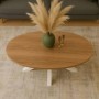 Mesa de Centro Oval Stacy